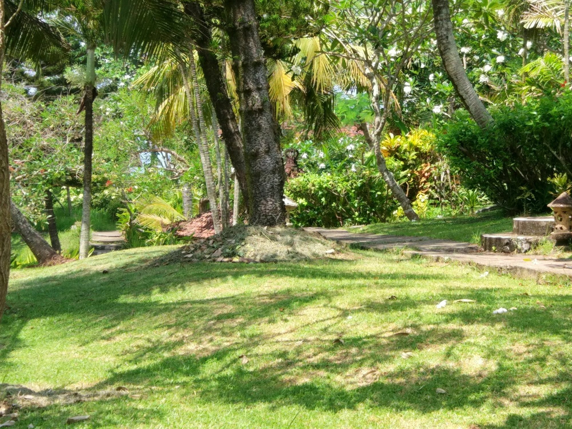 Gajah Mina Beach Resort Selemadeg  Exterior photo