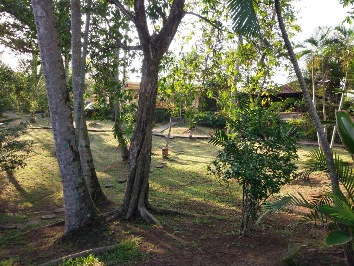 Gajah Mina Beach Resort Selemadeg  Exterior photo